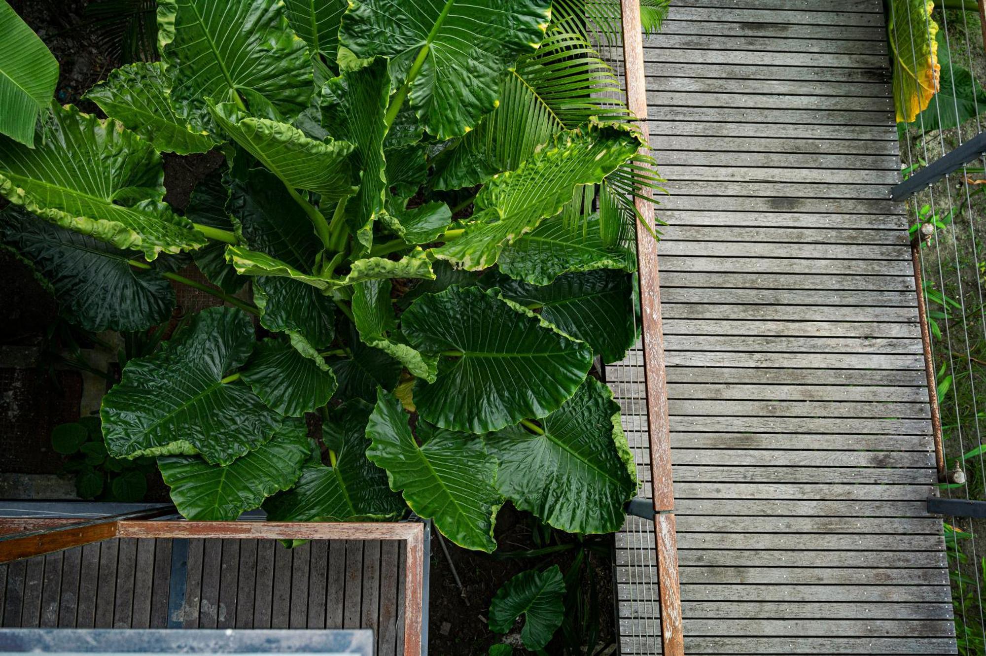 Tilar Siro Andamans - A Cgh Earth Experience Hotel Govind Nagar Eksteriør billede